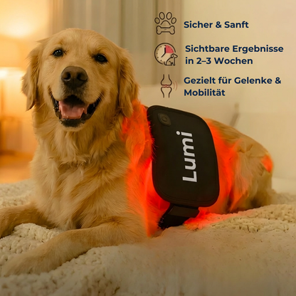 Lumi Vitality - Mehr gute Jahre für deinen Hund