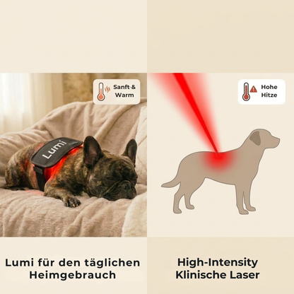 Lumi Vitality - Mehr gute Jahre für deinen Hund
