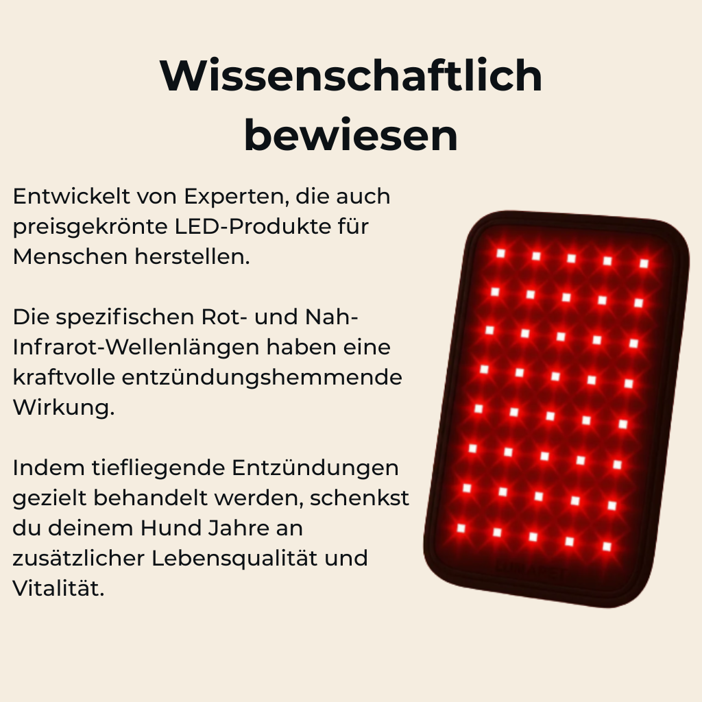 Lumi Vitality - Mehr gute Jahre für deinen Hund