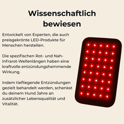 Lumi Vitality - Mehr gute Jahre für deinen Hund